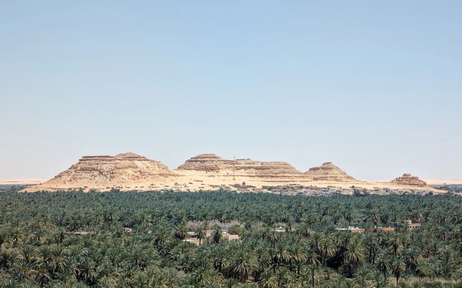 Palm groves below Gebel Dakrour, Siwa
