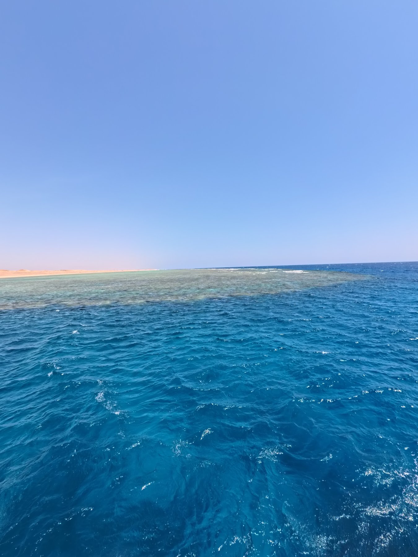 The Red Sea coast