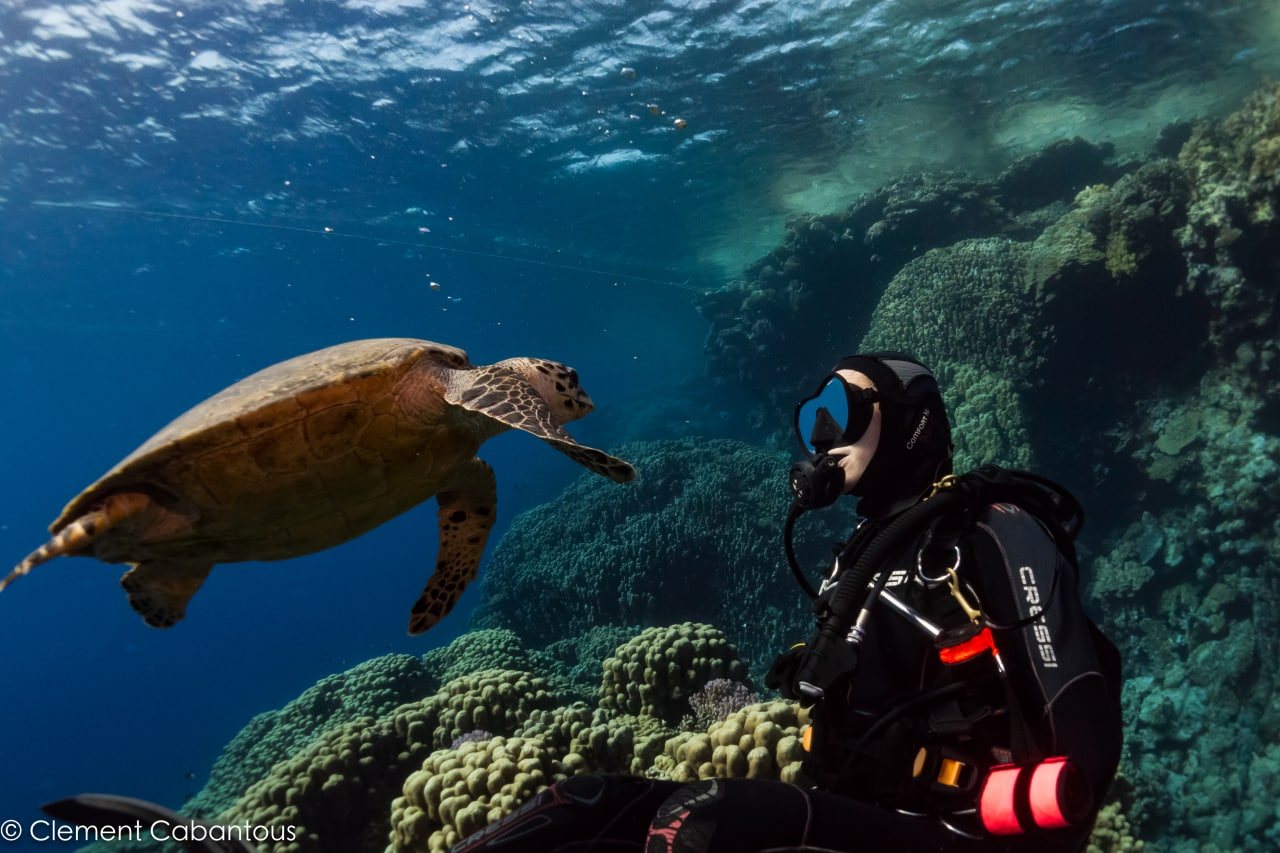 Scuba diving the Red Sea