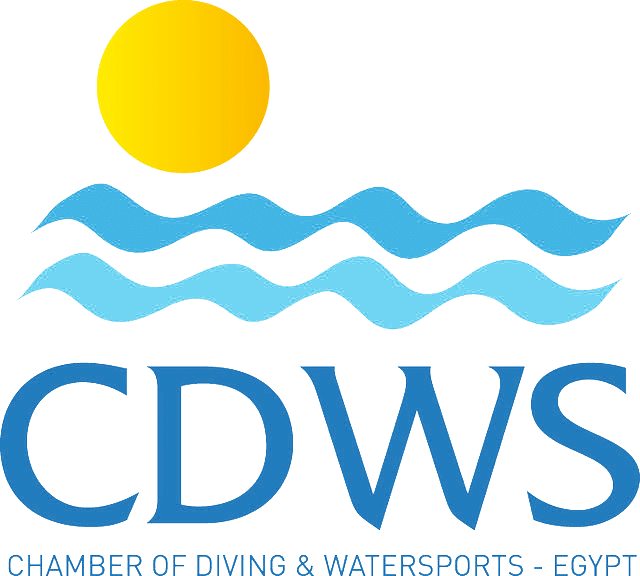 CDWS
